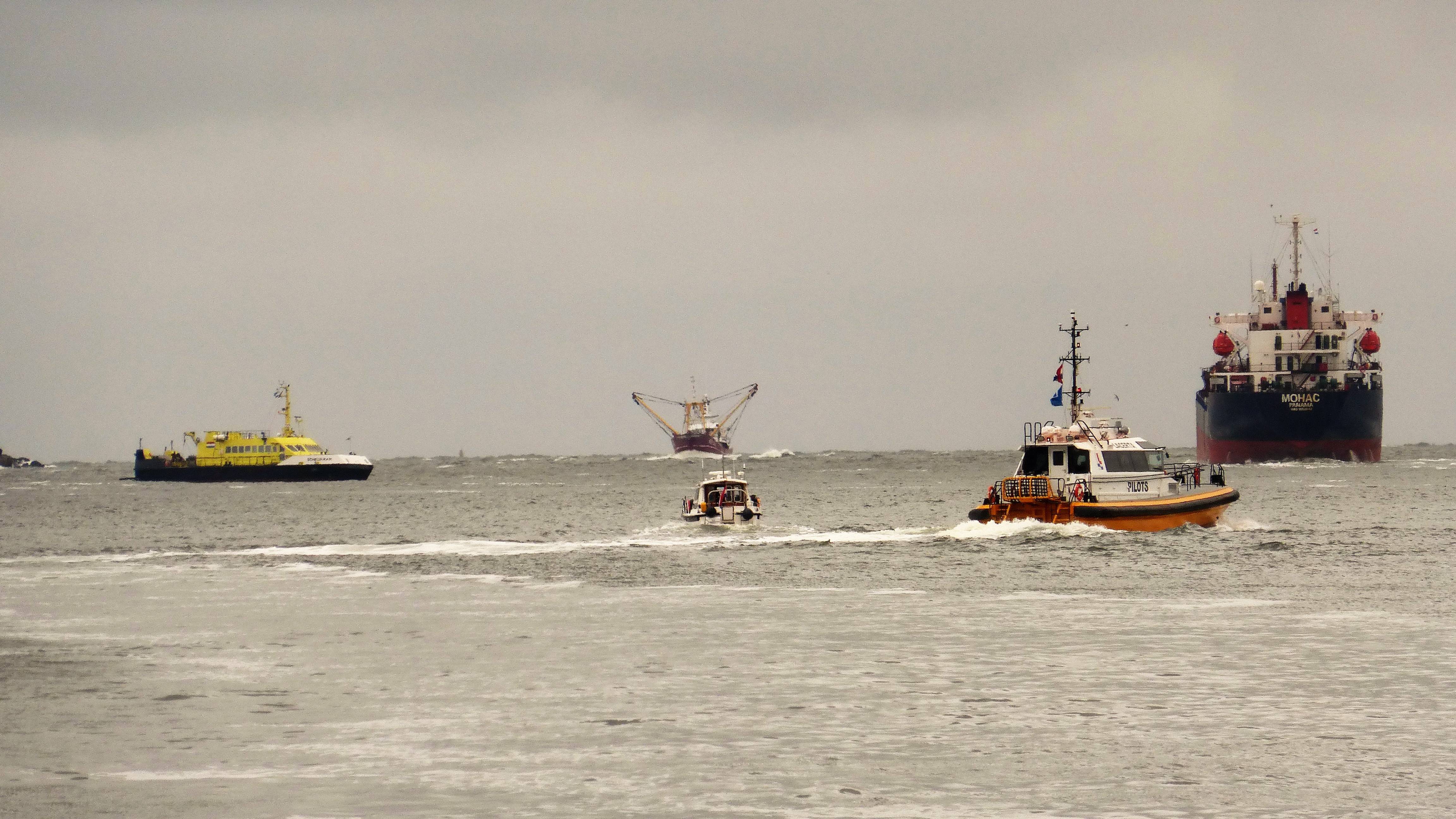 Pieren IJmuiden   12-09-18 